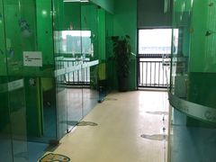 -小问号·科学启蒙·逻辑思维·阅读素养·口才演讲(杨浦合生汇中心)