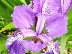 -永定河休闲森林公园