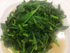 清炒鸡毛菜-老浒记民俗酒楼(王府井店)