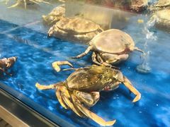 -盒马鲜生(顺义店)