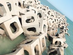 -东疆建设开发纪念公园