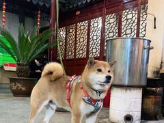 -旺山·浪头人家