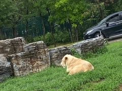 -秦皇岛野生动物园