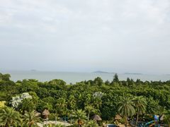 -天悦阁海景酒廊