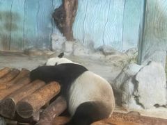 -海南热带野生动植物园