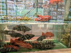 -万龙洲海鲜(广渠门店)