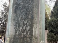 -赵州桥景区