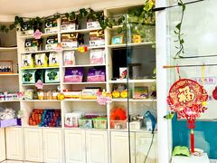 -瑞康宠物医院·犬猫牙科·异宠专科·转诊诊疗中心(劳卫路店)