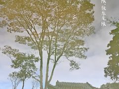 -广州市白云山风景名胜区