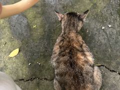 -南京工程学院(江宁校区)