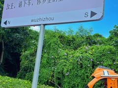 -三亚蜈支洲岛旅游区