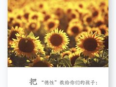 -先艺艺术教育舞蹈钢琴声乐培训(大悦城校区)