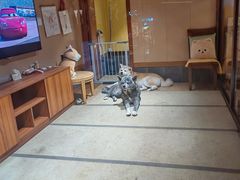 -大江户·温泉洗浴(浑南店)