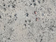 -北海金海湾红树林生态旅游区