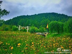 -横道河子东北虎林园