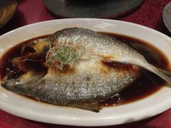 清蒸长江鲥鱼-名豪品鲜荟(云亭店)