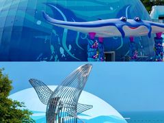 -海合安青岛极地海洋公园