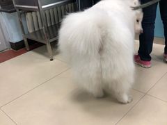 -纳吉亚猫专科动物诊疗中心(蒋宅口分院)