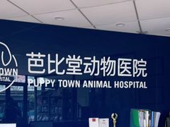 -芭比堂宠物医院·全科爱猫医院·仁德分院