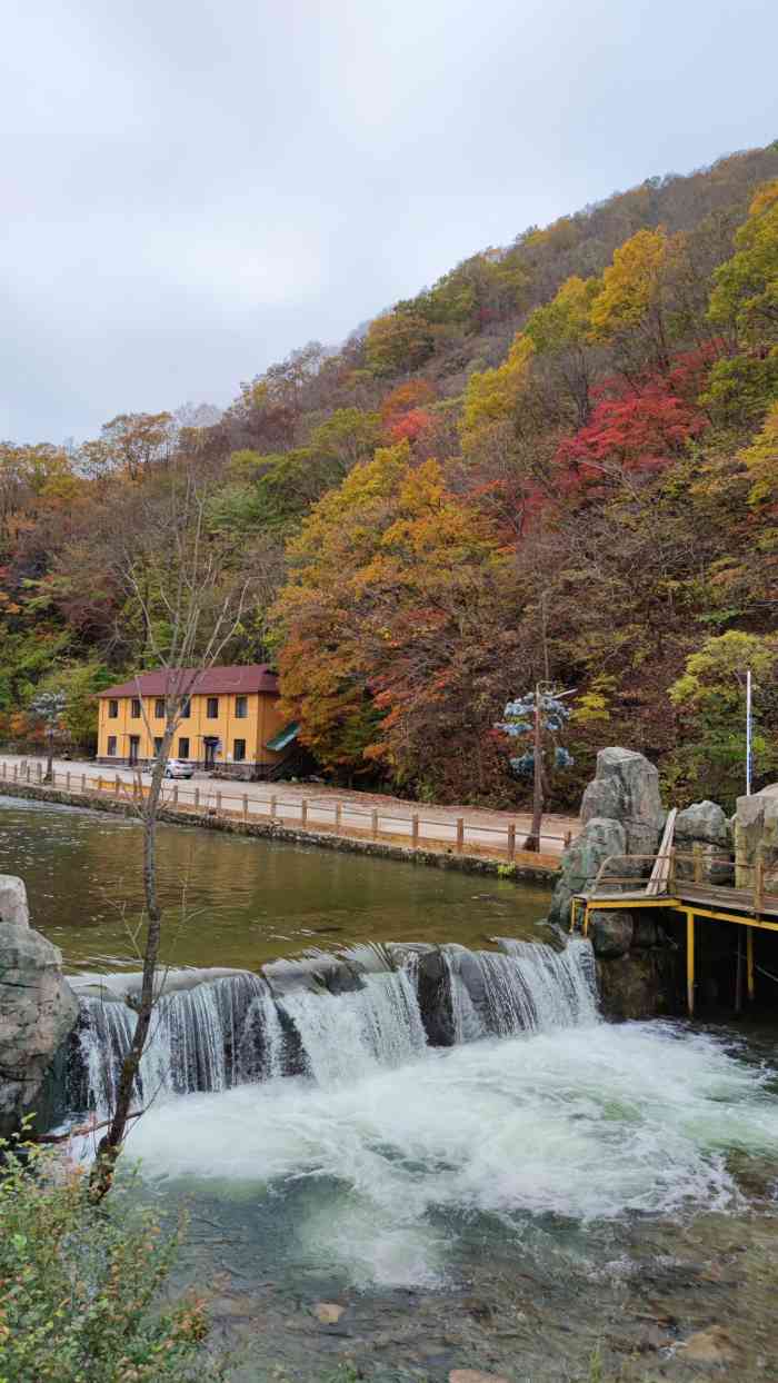 本溪汤沟绿石谷森林公园-"猴石森林公园位于新宾满族自治县木奇镇西南