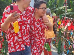 -西双版纳原始森林公园