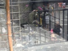 -泉州海丝野生动物世界