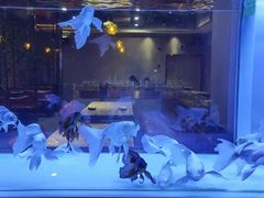 -黄鱼炙夜(华家池店)