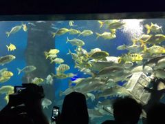 景点-北戴河圣蓝海洋公园