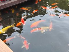 -顺德渔村·岭南一号