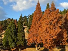 -神户市立六甲山牧场