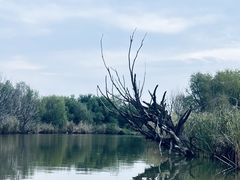 -处女泉风景名胜区