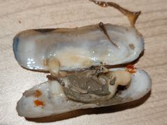 -星伦多自助料理(江阴万达店)
