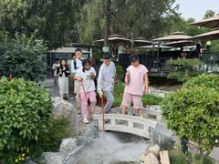 -蘇河湾·新鲁菜·泰山宴(泰山店)