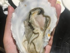 -壹号港湾