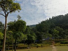-火炉山森林公园
