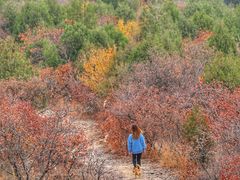 -鬼笑石后山停车场