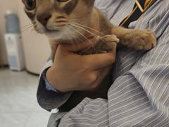 -瑞鹏宠物医院·骨科·猫科·内科(第一中心)
