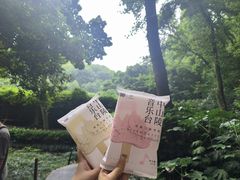 -音乐台