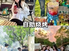 -栖露营camping·天幕烧烤·团建拓展·采摘营地