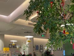 -Aqua Oasis 水天堂(太湖中心mall店)