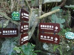 -呀诺达热带雨林
