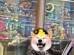 -TIPTOP BAR酒吧(欧亚新生活广场店)