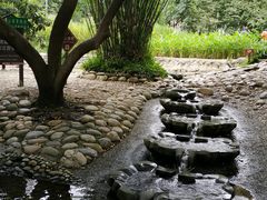 -成都市活水公园