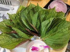 -千纸鹤嫩汁烤肉(西大直街店)