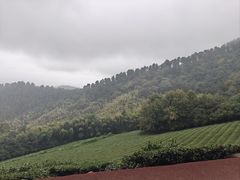 -敬亭山风景名胜区