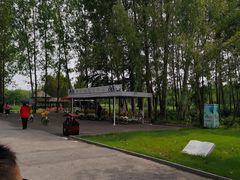 -微山湖红荷湿地景区