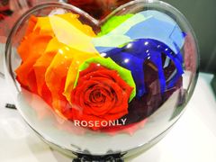 -ROSEONLY诺誓(广州K11店)