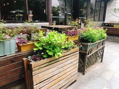 -日出青木·杭帮菜名店