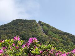 -梧桐山风景名胜区