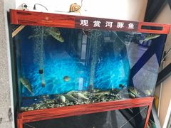 -肆月河豚·新淮扬(金融街店)
